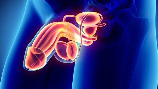 Why Does Abnormal Discharge Come From the Penis in Men?